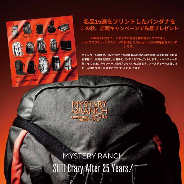 税込22,000 円以上お買い上げで、バンダナをプレゼント